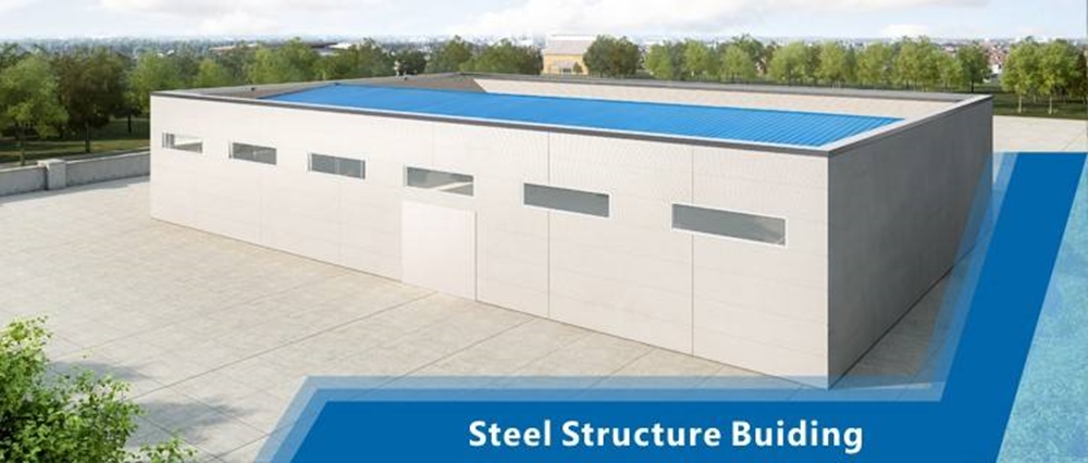 Steel Structural Buiding